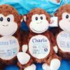 cheeky monkeys