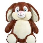BROWN BUNNY
