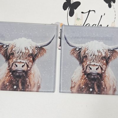 GLASS COASTERS