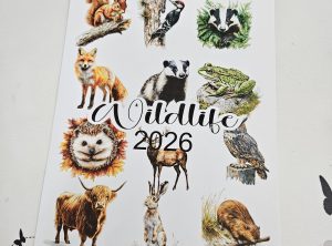 CALANDER
